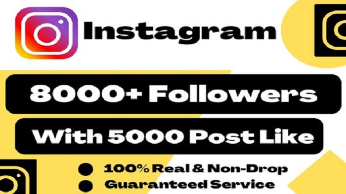 5449Provide 10,000+ Instagram likes post/video [ non drop ]