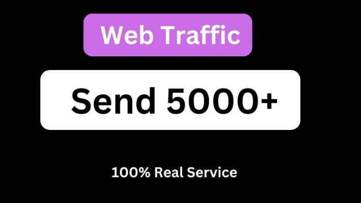 6721100000 USA Website Or Euro Traffic for 25 Days