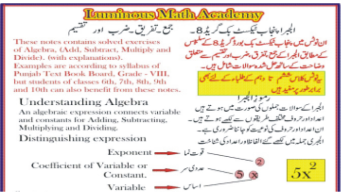 7389Expert English-Urdu Complex Typist: Professional Document Composition with Figures and Alphabets