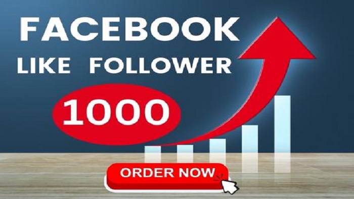 5489Best offer 1000 Facebook profile Followers lifetime guarantee