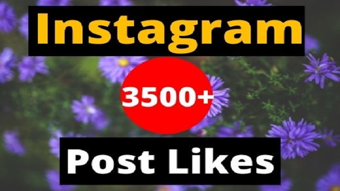 5191Provide 10,000+ Instagram likes post/video [ non drop ]