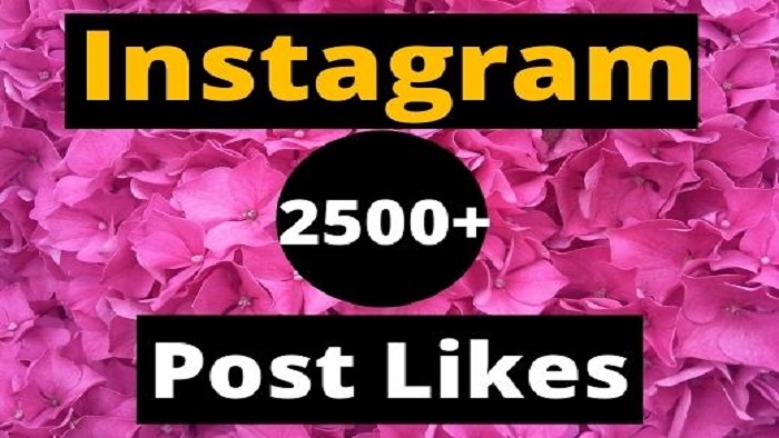 5185Provide 10,000+ Instagram likes post/video [ non drop ]