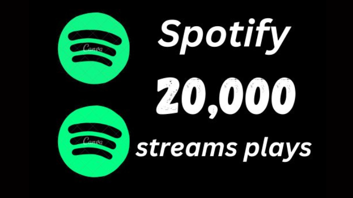 7206Provide 50,000 Spotify Plays USA, high quality, royalties eligible, TIER 1 countries, active user, non-drop, and lifetime guaranteed