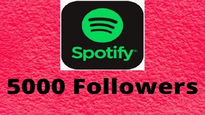 5242Provide 5000 Spotify Stream Premium Plays HQ and Royalties Eligible