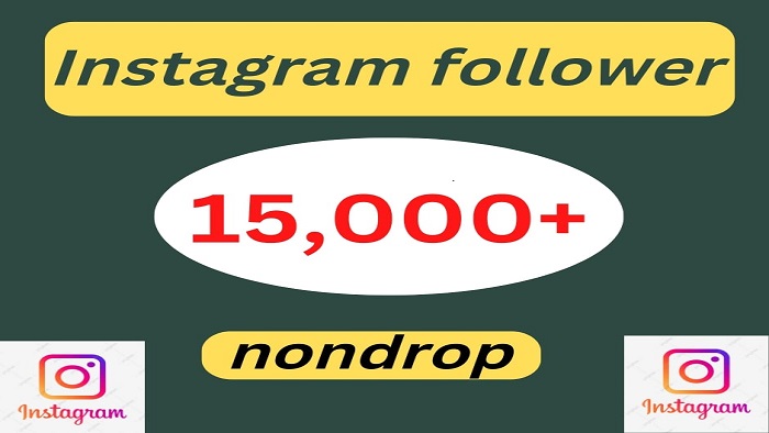 5482provide 10,000 Instagram follower + 10,000 post likes lifetime guarantee