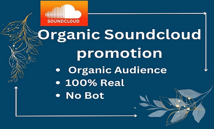 22014DO ORGANIC SOUNDCLOUD MUSIC PROMOTION FOR YOUR TRACKS TO GET ORGANIC ENGAGEMENT