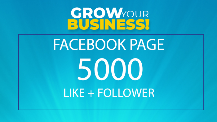 315975000+ Facebook Page Likes + followers None Drop