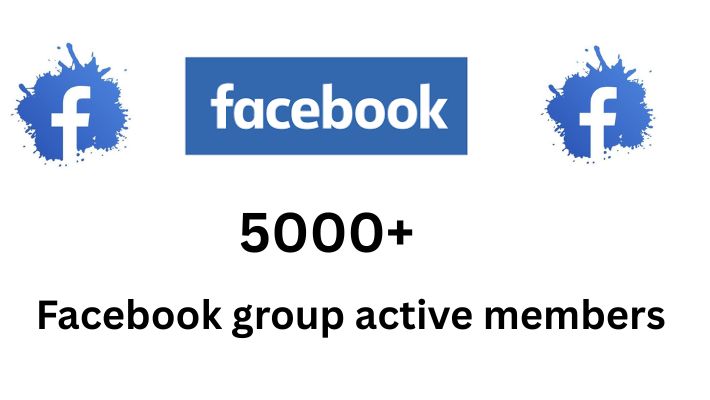 478735You will get 2500+ USA Instagram Likes High Quality